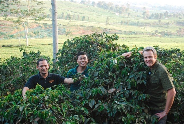 coffee plantation