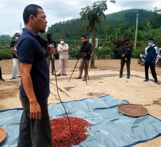 coffee plantation4