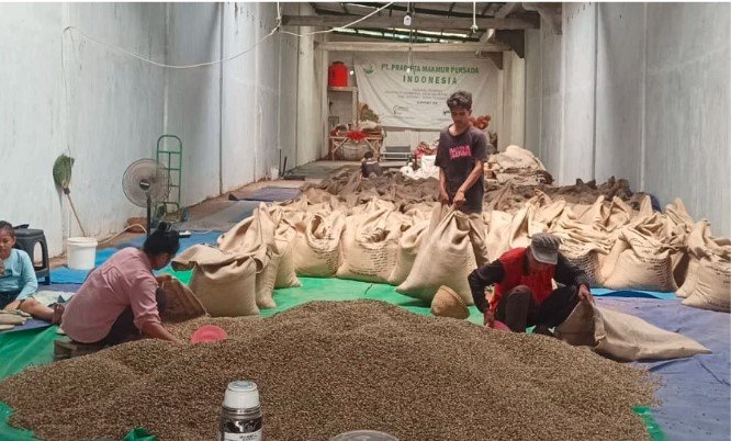 coffee process