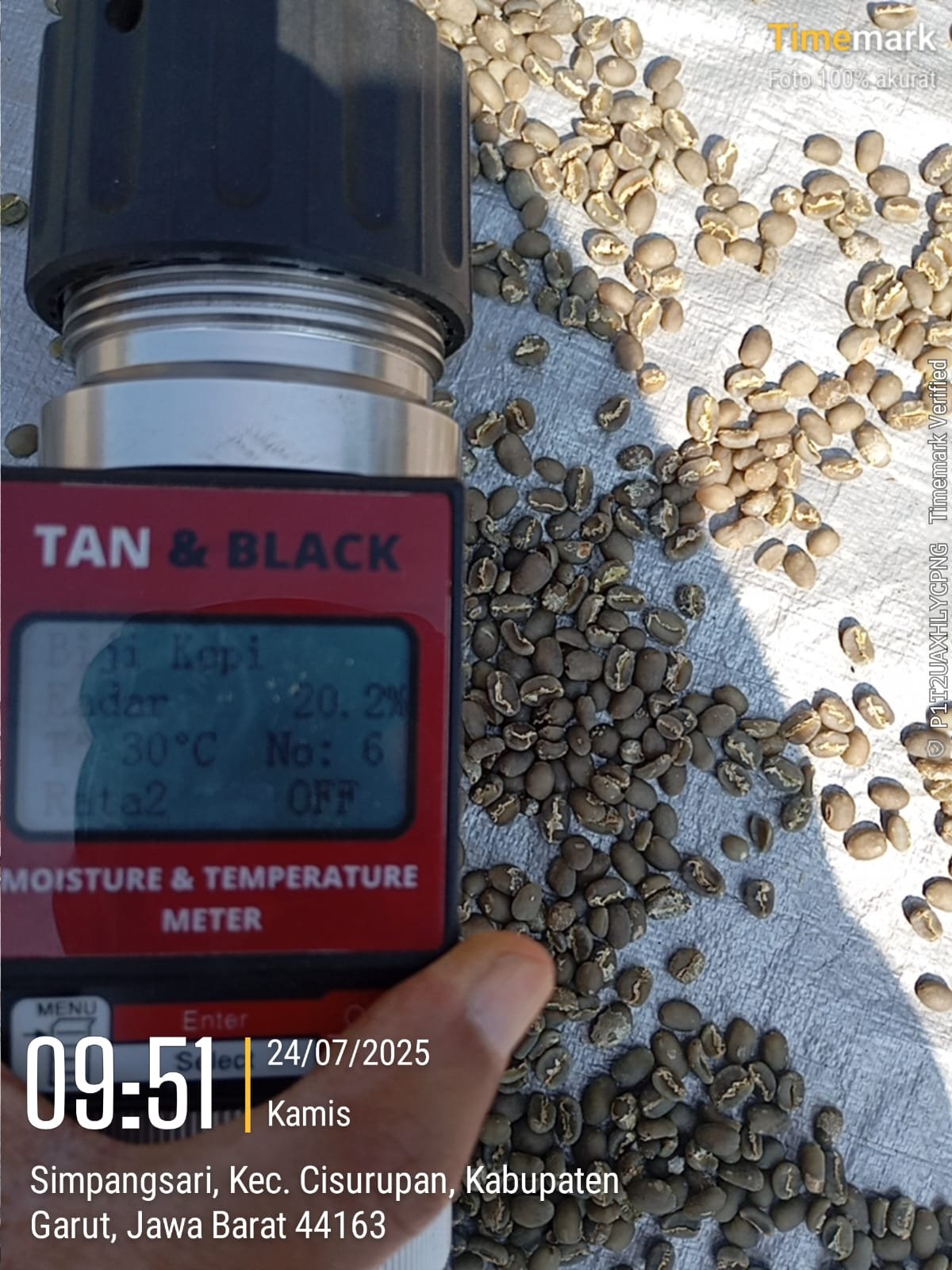 Sorting Beans